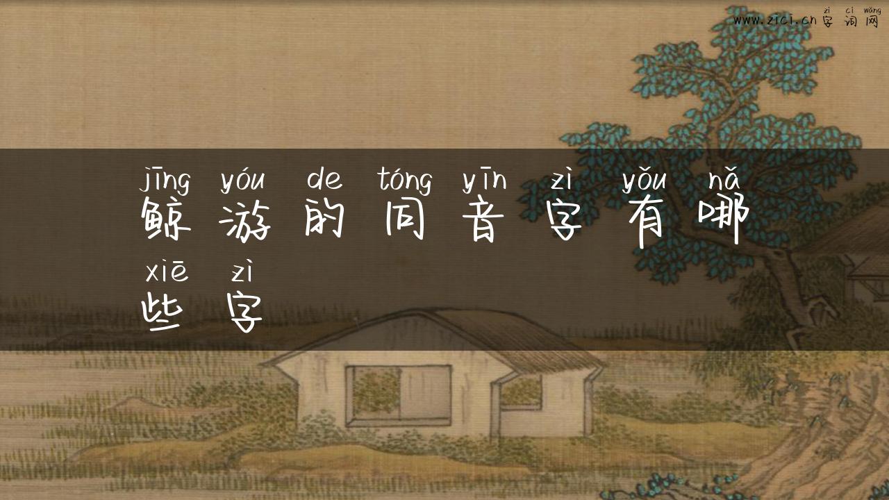 鲸游的同音字有哪些字