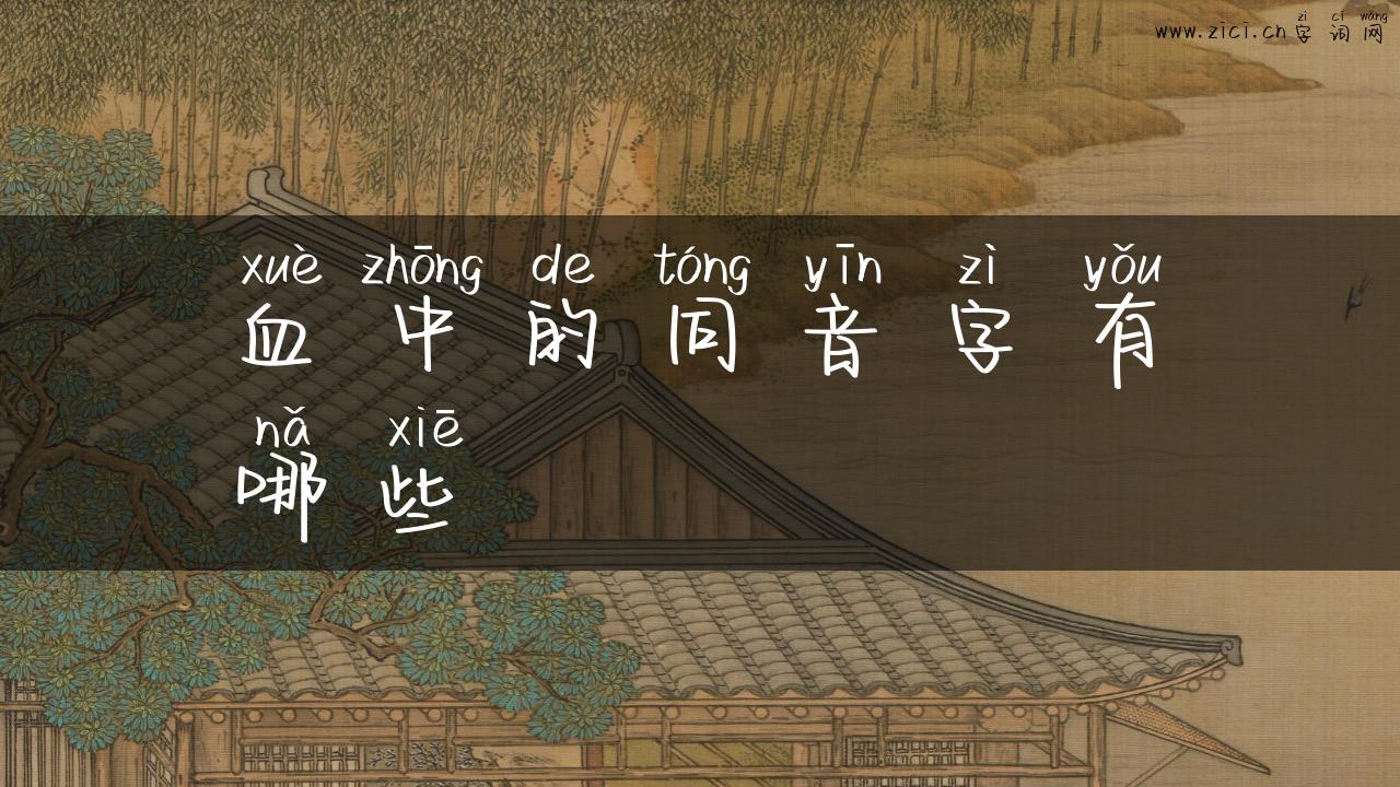 血中的同音字有哪些