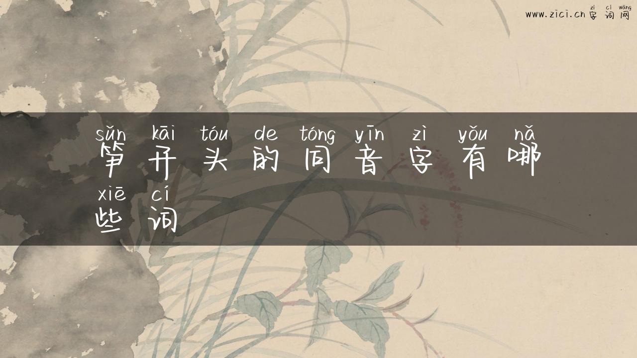 笋开头的同音字有哪些词