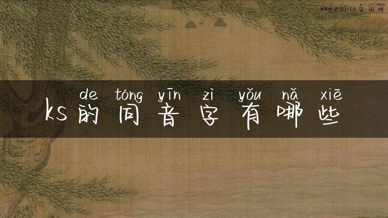 ks的同音字有哪些
