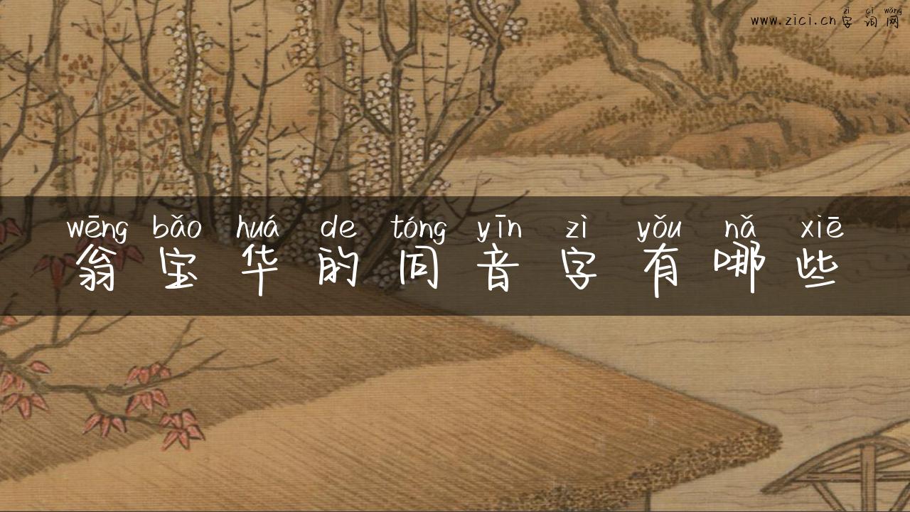 翁宝华的同音字有哪些