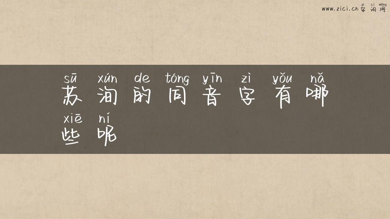 苏洵的同音字有哪些呢
