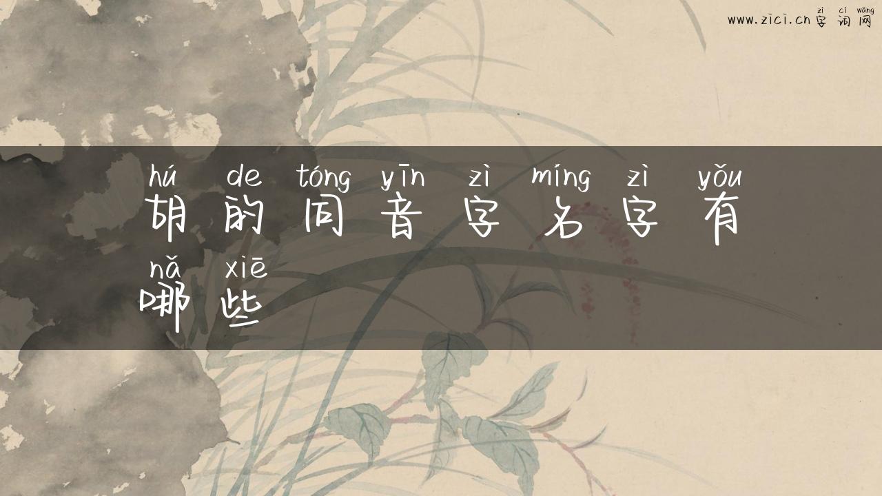 胡的同音字名字有哪些