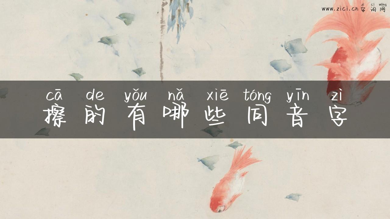 擦的有哪些同音字