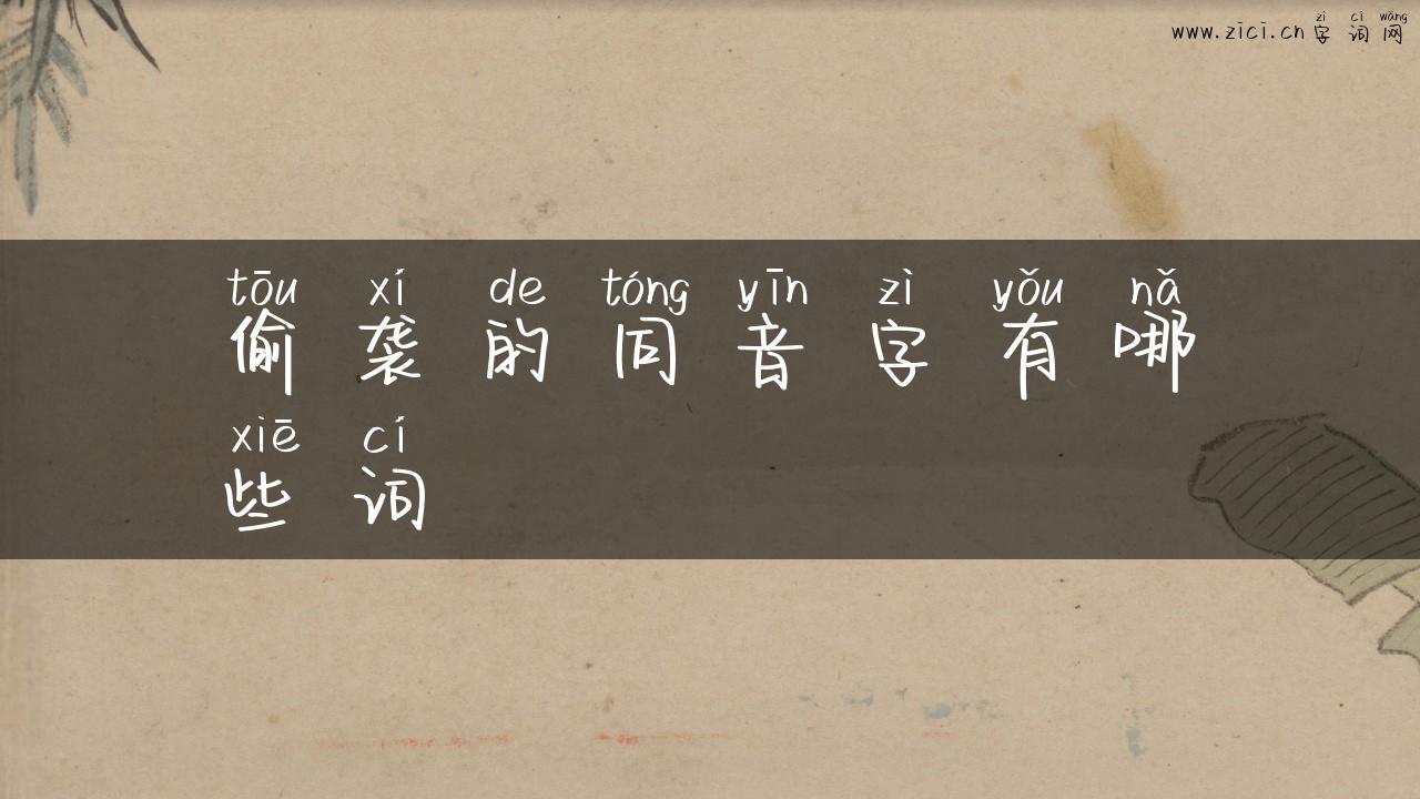 偷袭的同音字有哪些词