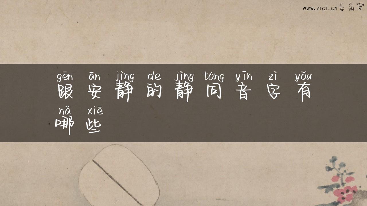 跟安静的静同音字有哪些