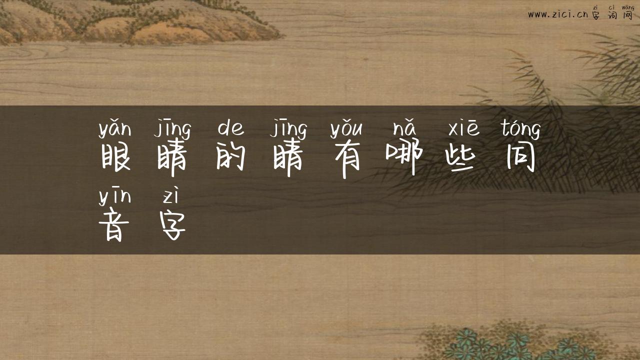 眼睛的睛有哪些同音字