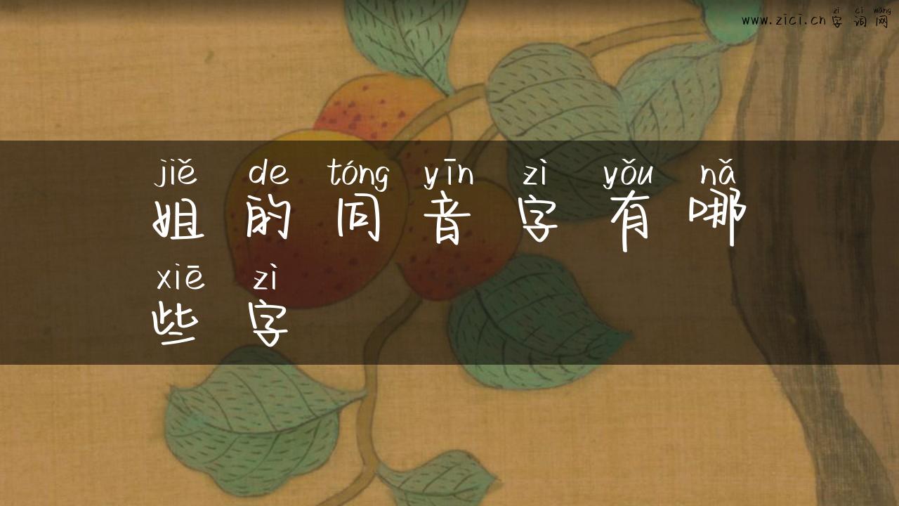 姐的同音字有哪些字