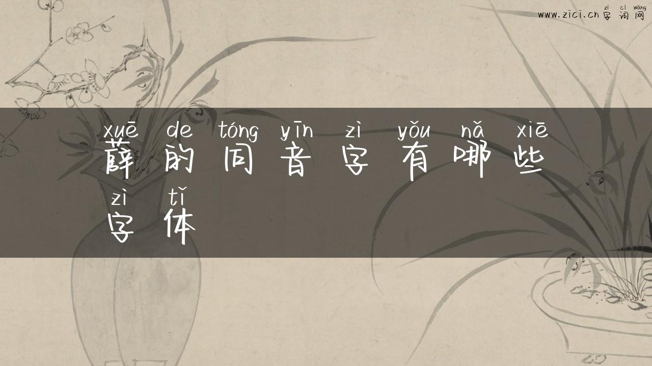 薛的同音字有哪些字体