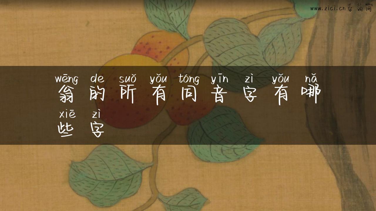 翁的所有同音字有哪些字