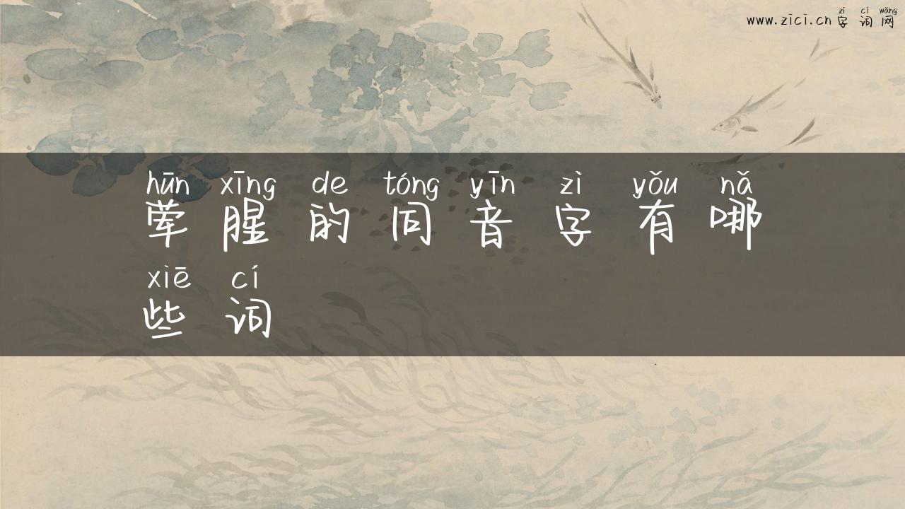 荤腥的同音字有哪些词