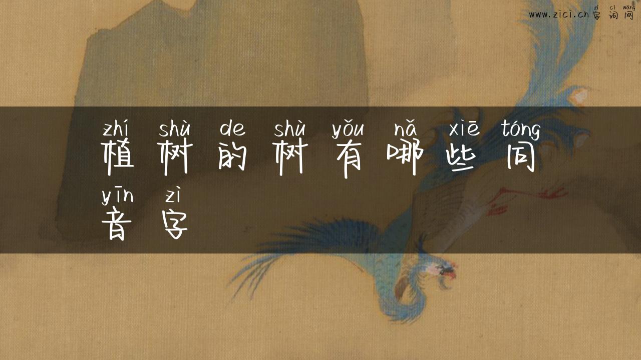 植树的树有哪些同音字