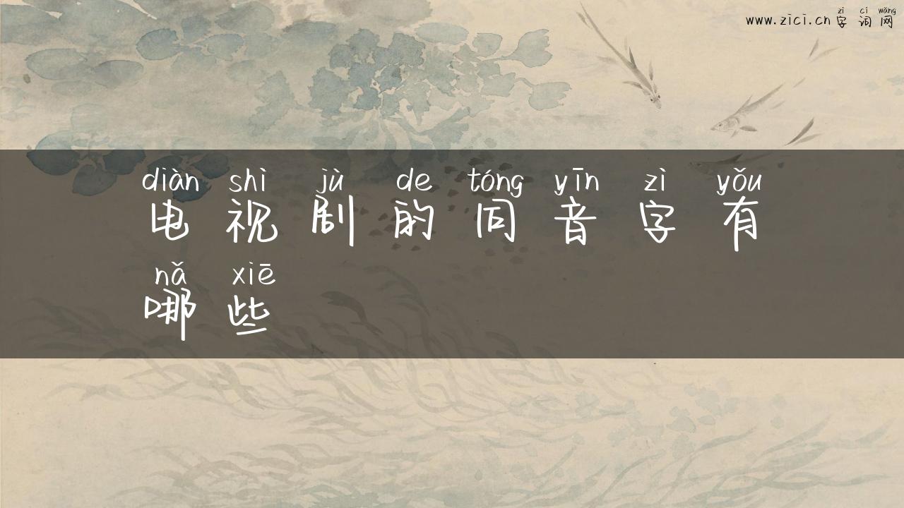 电视剧的同音字有哪些
