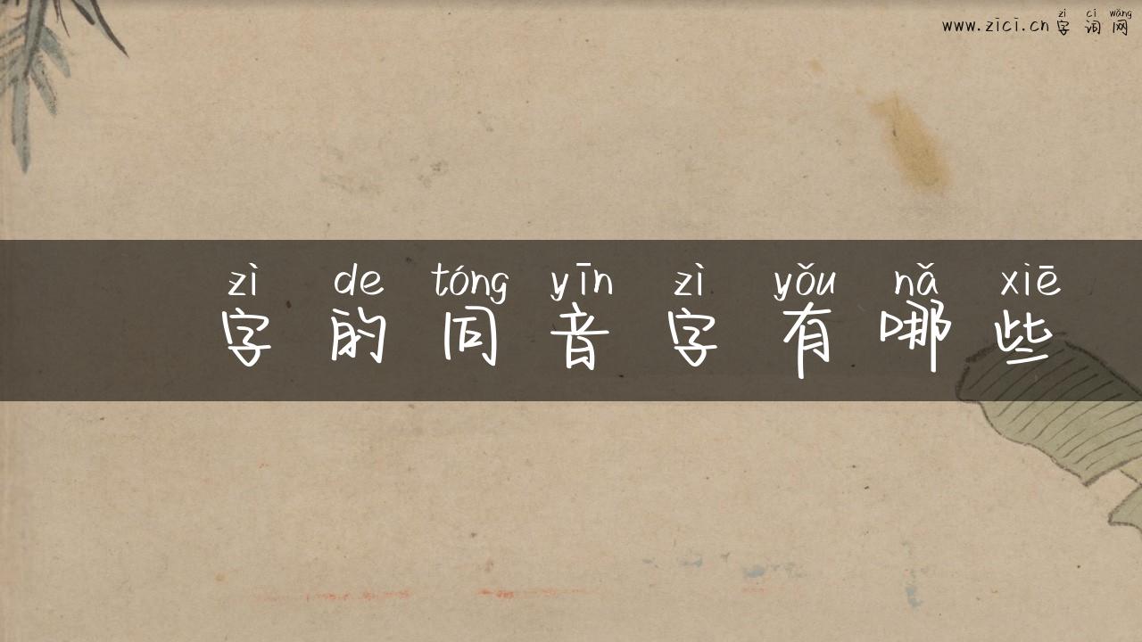 玠字的同音字有哪些