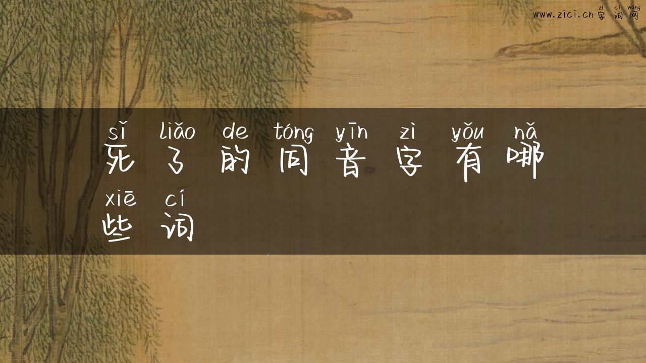 死了的同音字有哪些词