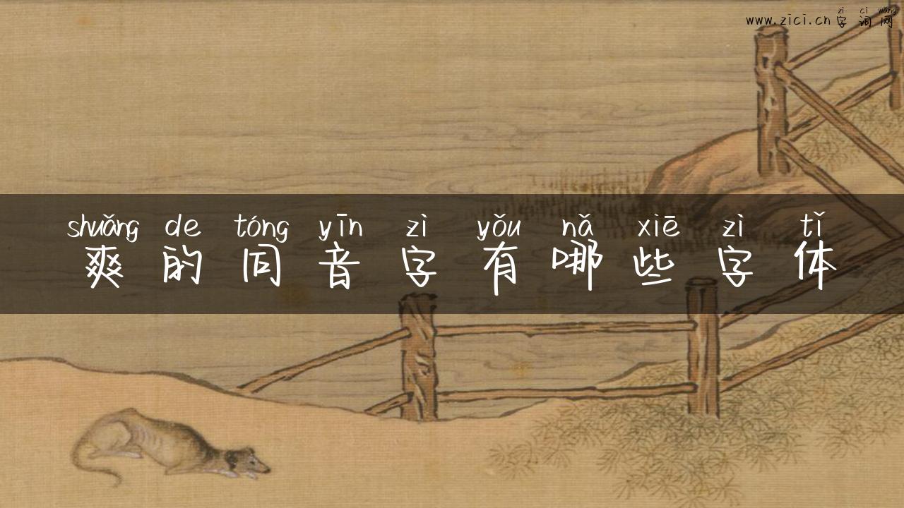 爽的同音字有哪些字体