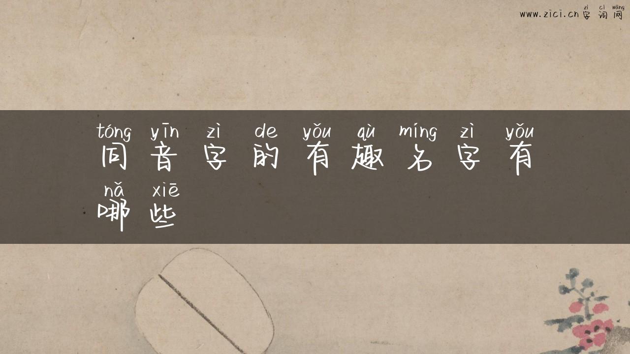 同音字的有趣名字有哪些