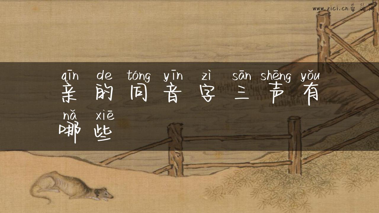 亲的同音字三声有哪些