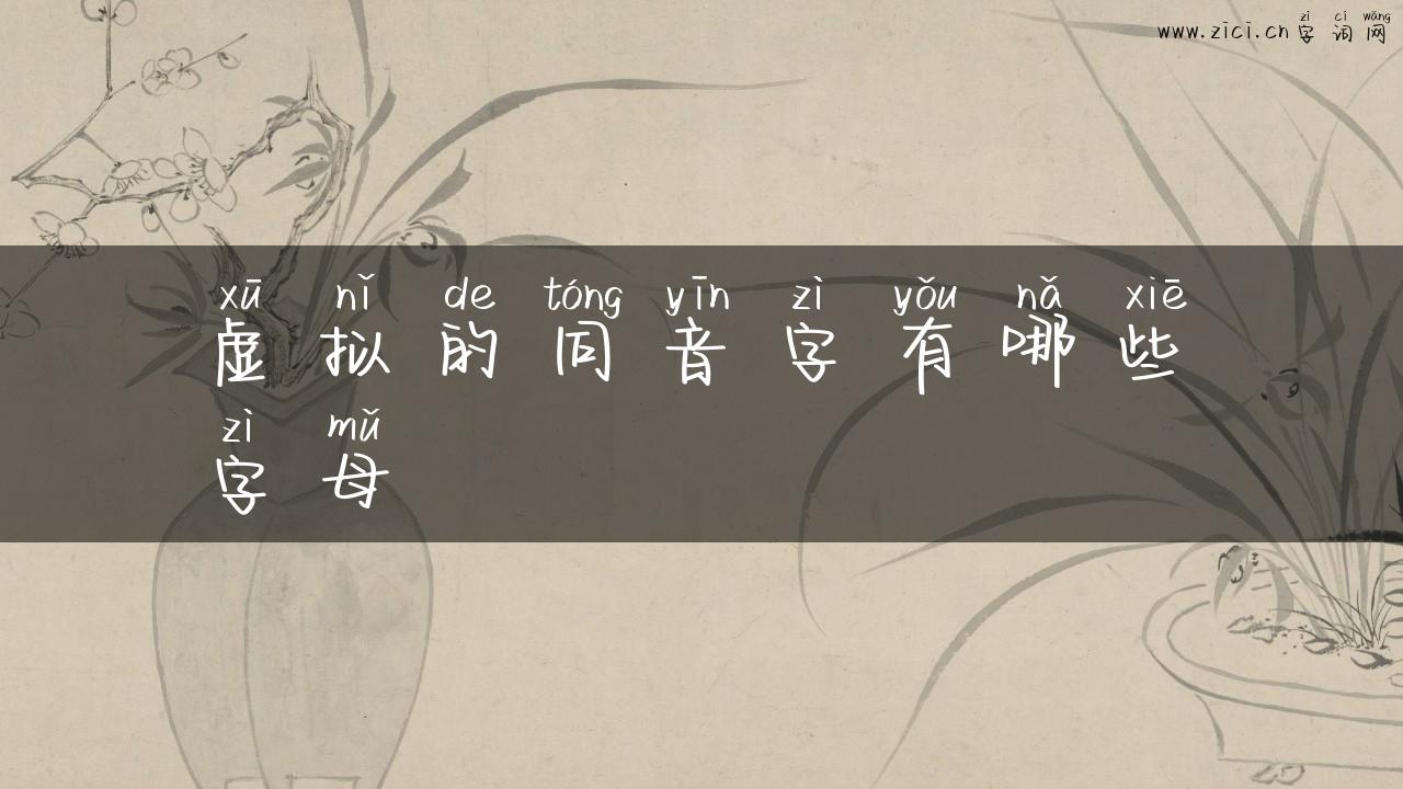 虚拟的同音字有哪些字母
