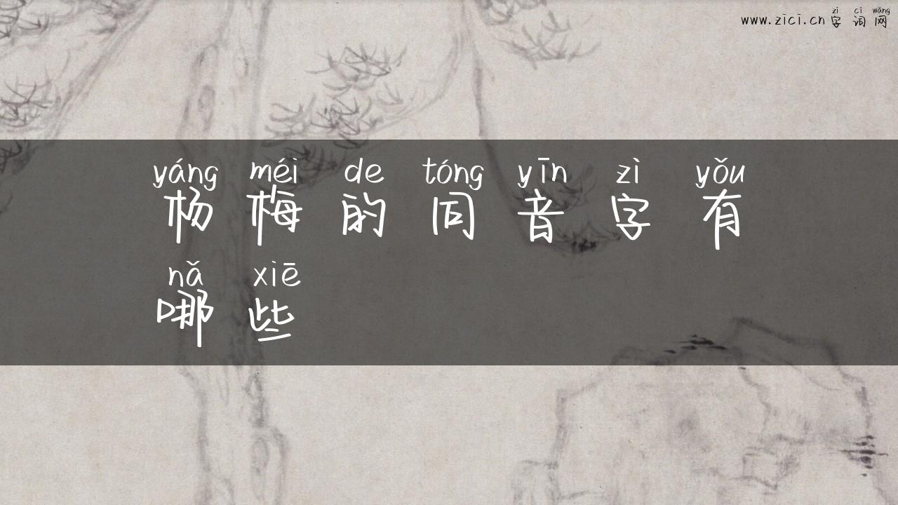 杨梅的同音字有哪些