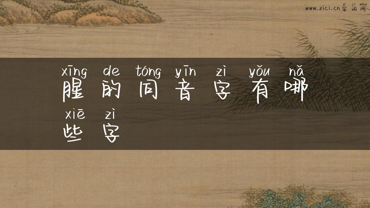 腥的同音字有哪些字