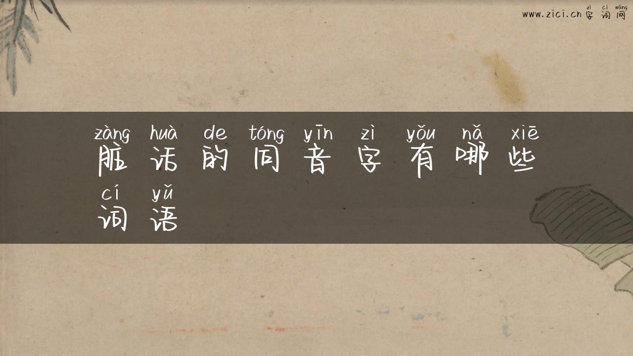 脏话的同音字有哪些词语