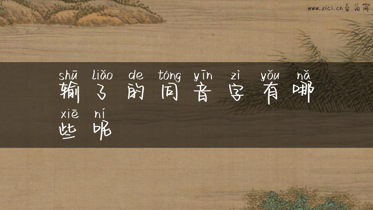 输了的同音字有哪些呢
