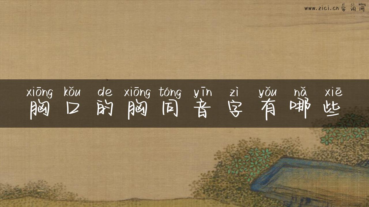 胸口的胸同音字有哪些
