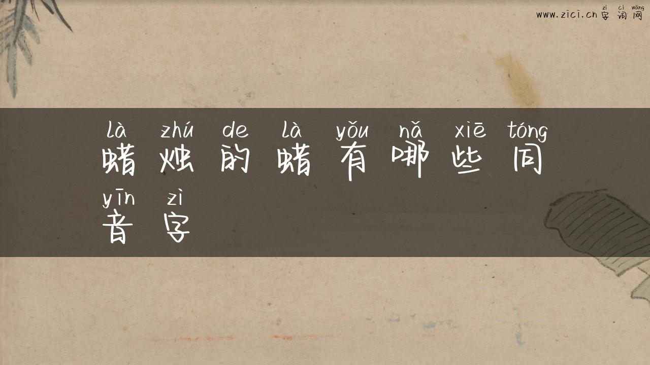 蜡烛的蜡有哪些同音字