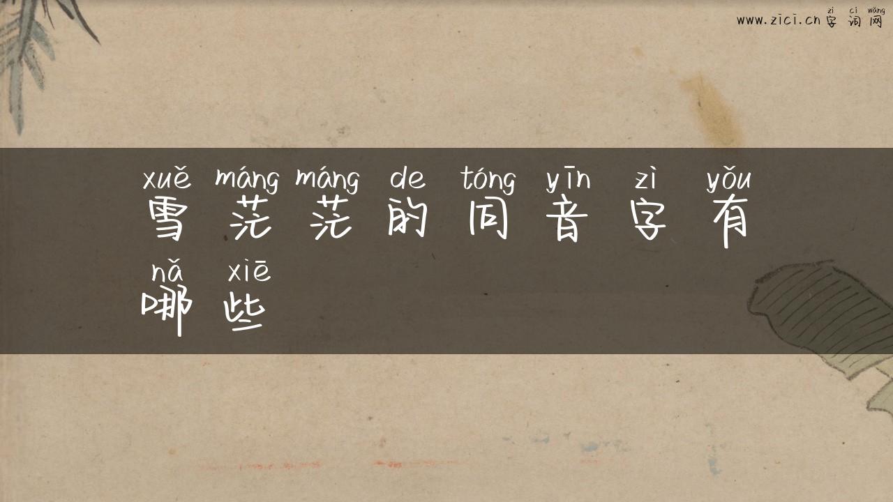 雪茫茫的同音字有哪些