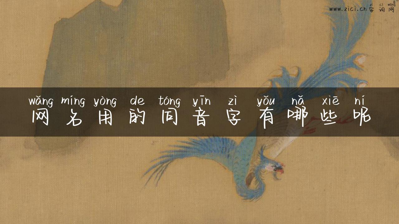 网名用的同音字有哪些呢