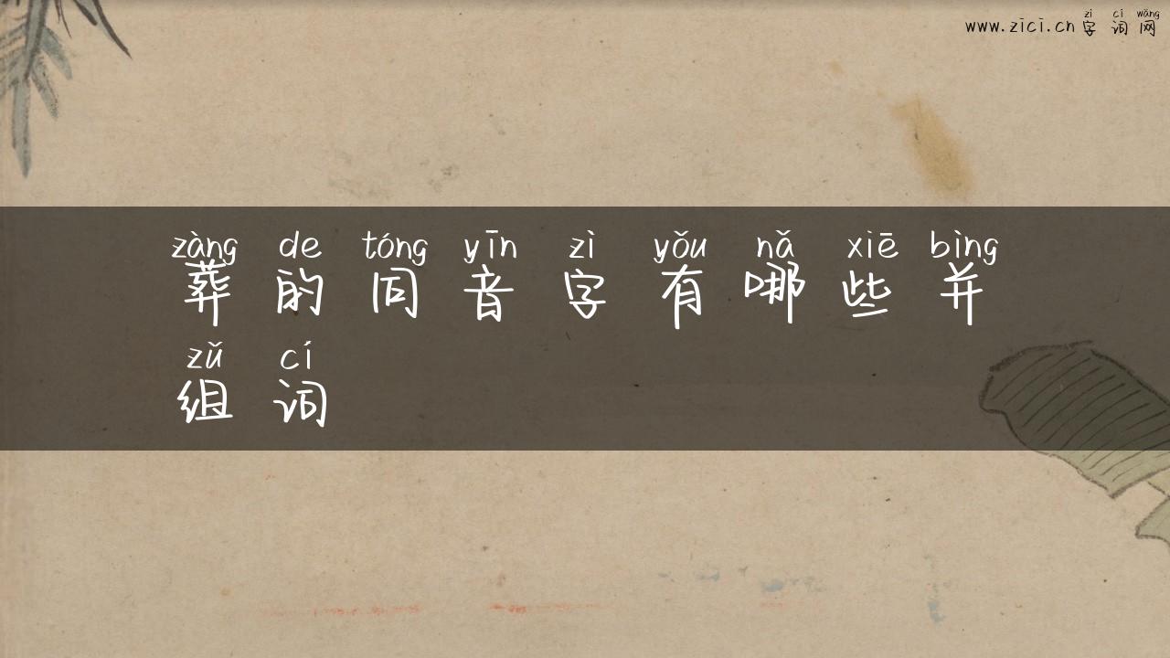 葬的同音字有哪些并组词