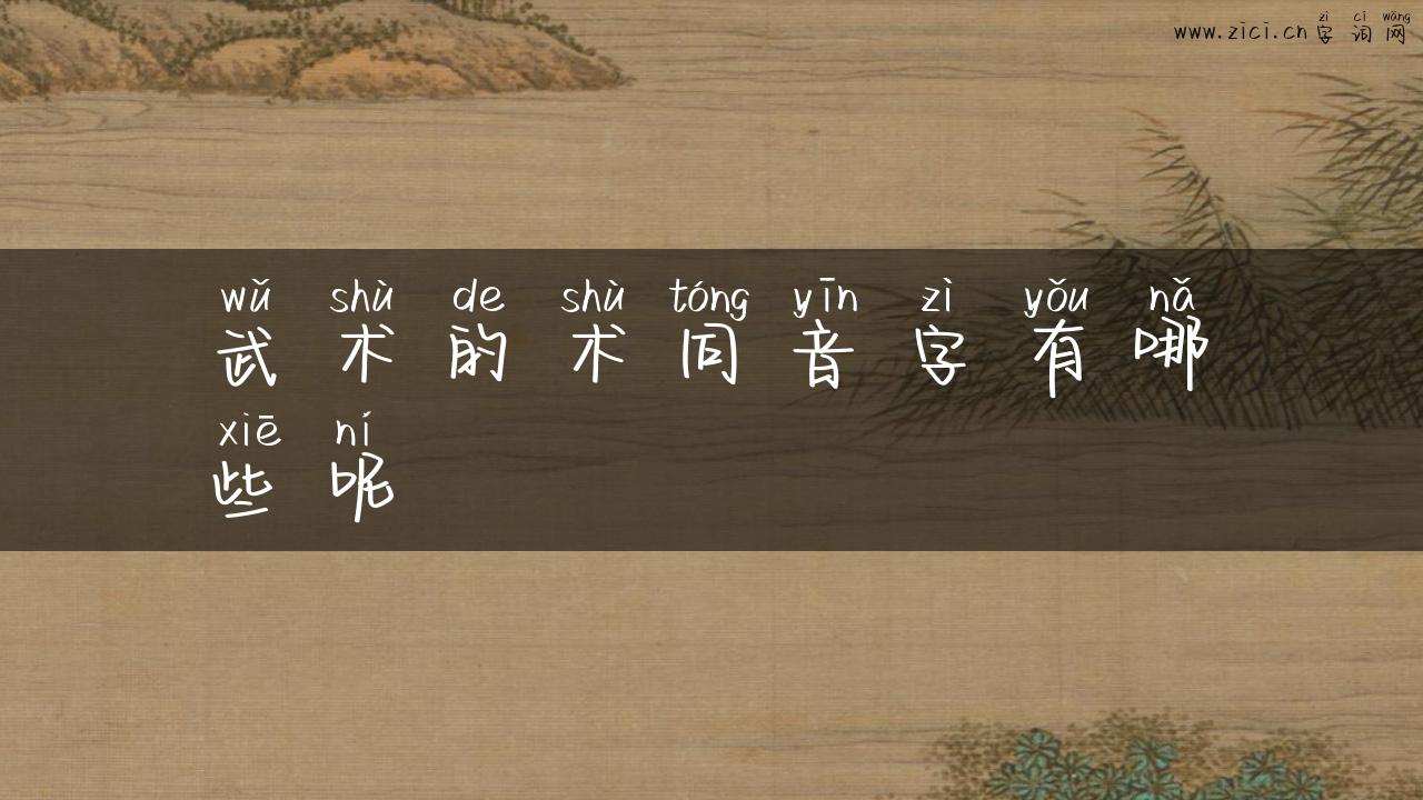 武术的术同音字有哪些呢