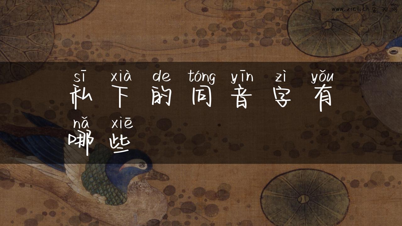 私下的同音字有哪些