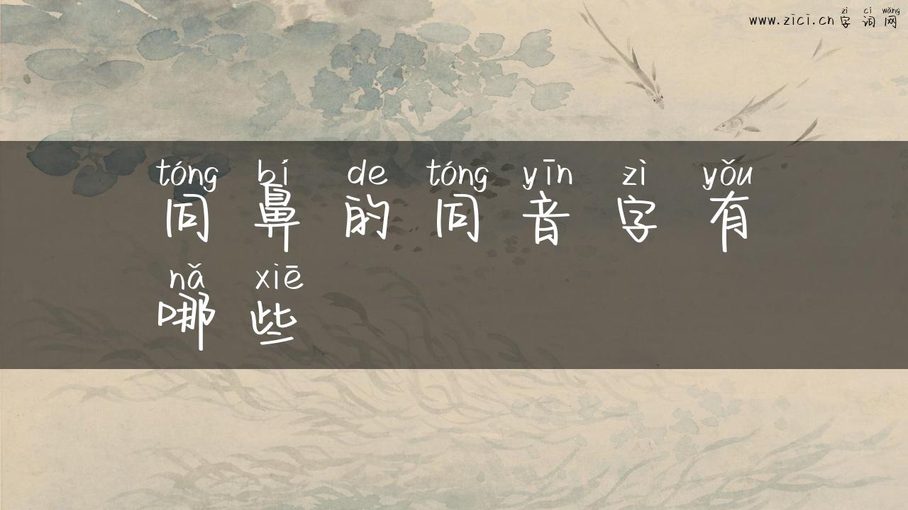 同鼻的同音字有哪些
