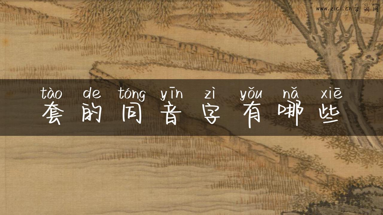 套的同音字有哪些