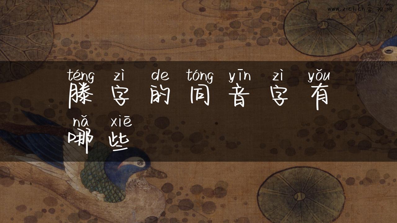 滕字的同音字有哪些