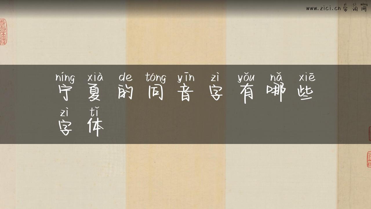 宁夏的同音字有哪些字体
