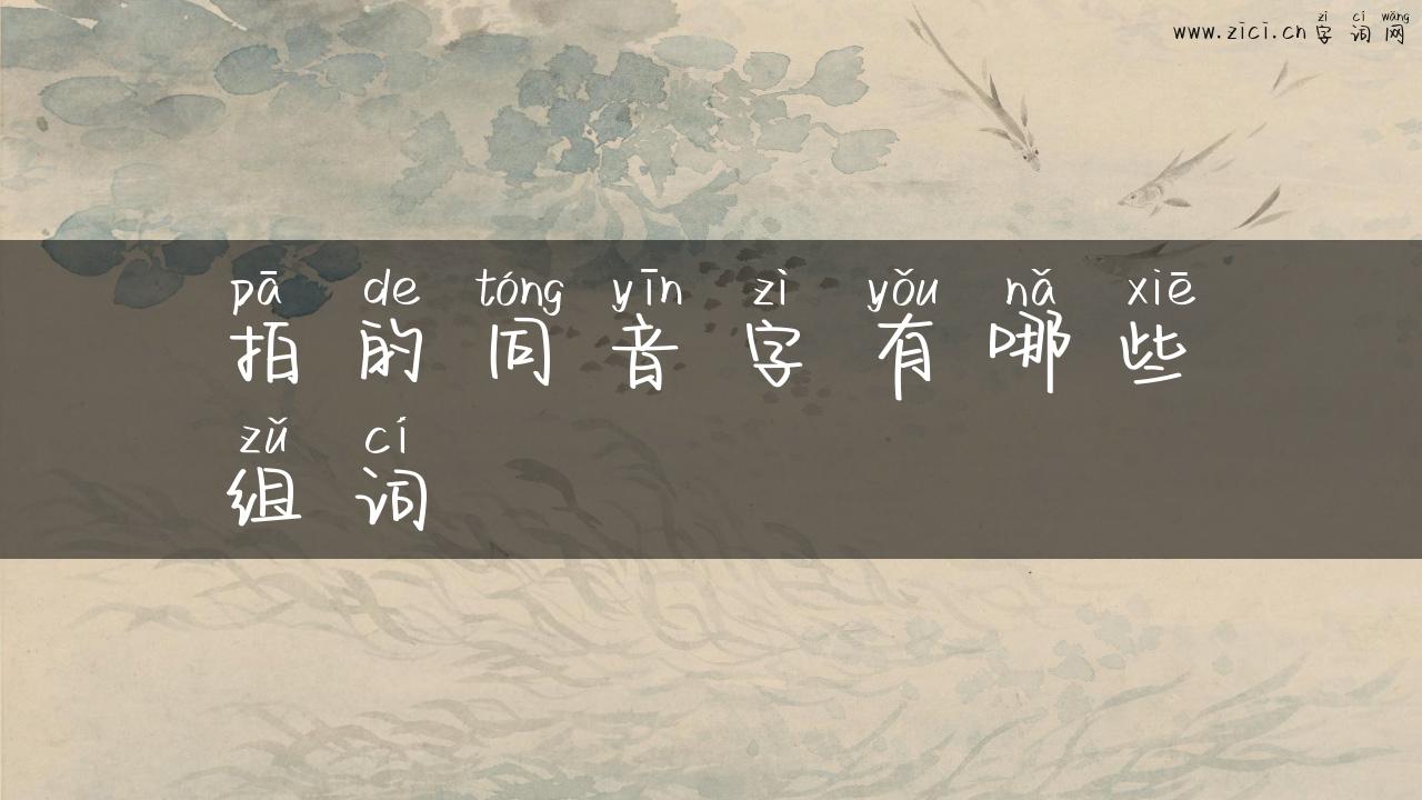 拍的同音字有哪些组词