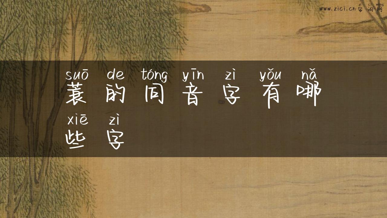 蓑的同音字有哪些字