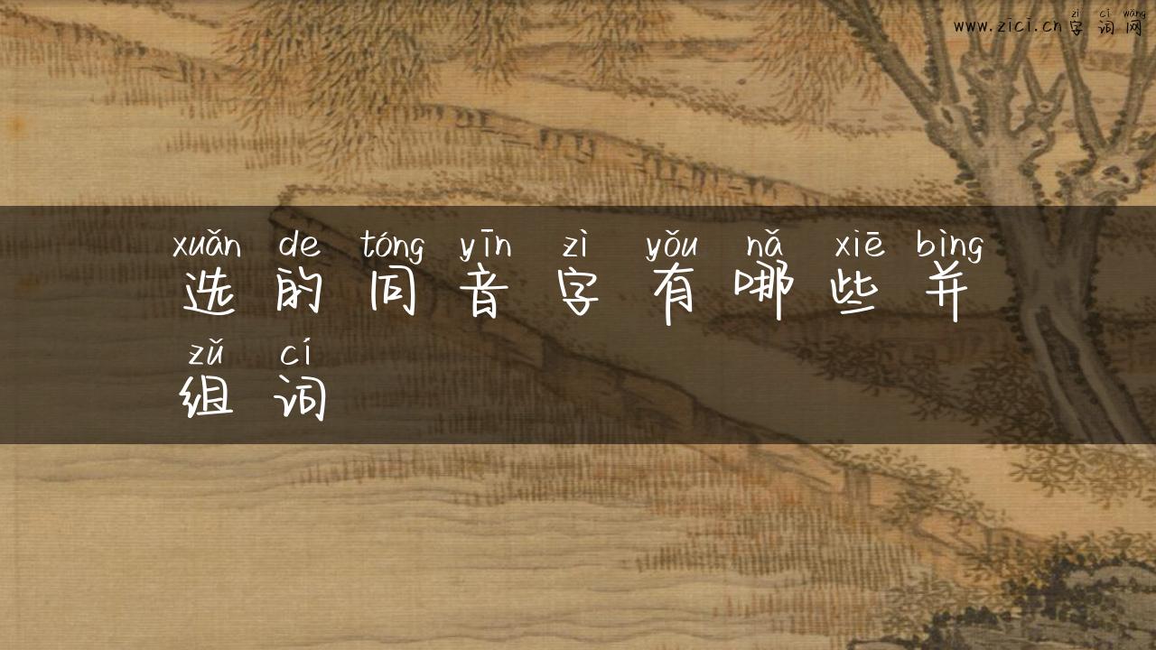 选的同音字有哪些并组词