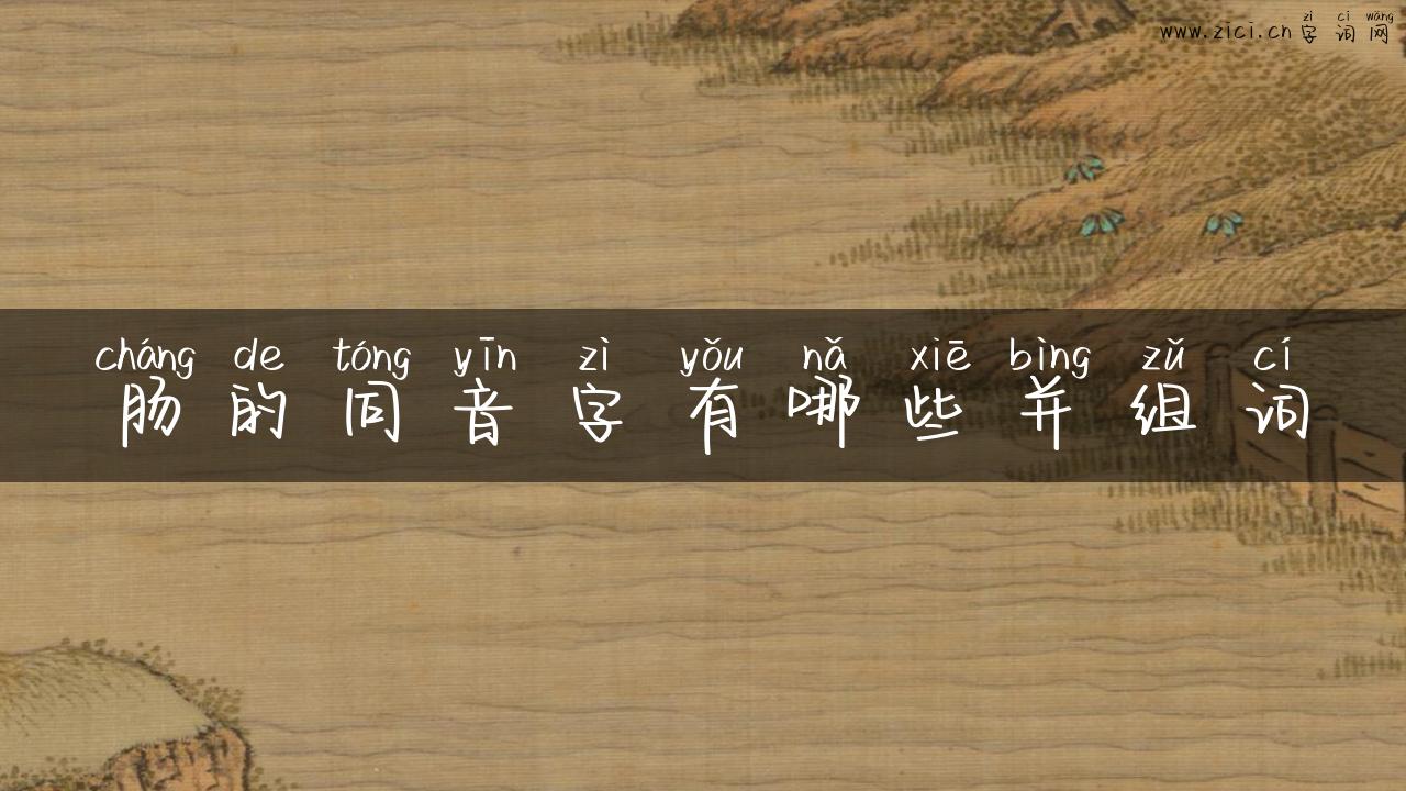 肠的同音字有哪些并组词