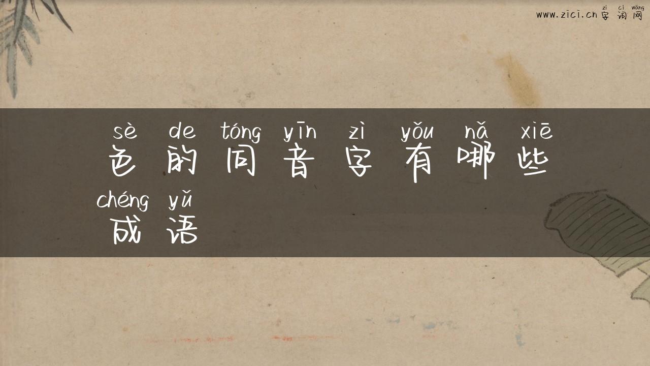 色的同音字有哪些成语