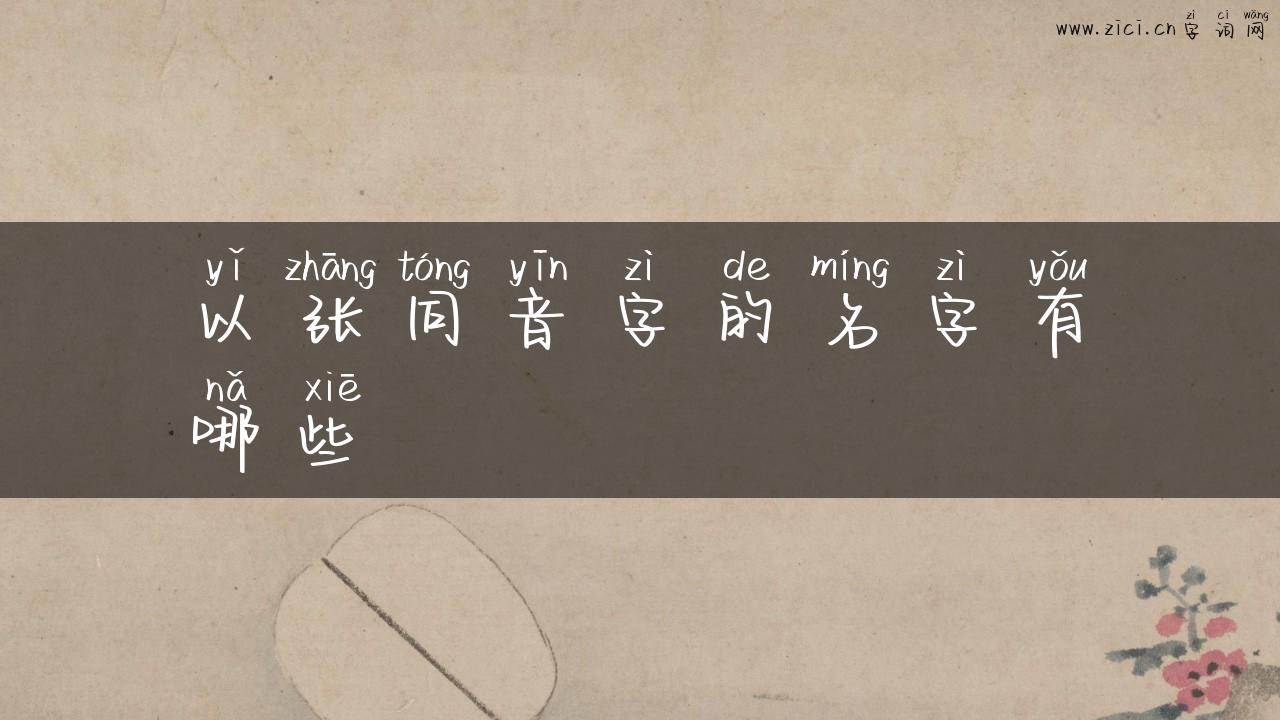 以张同音字的名字有哪些