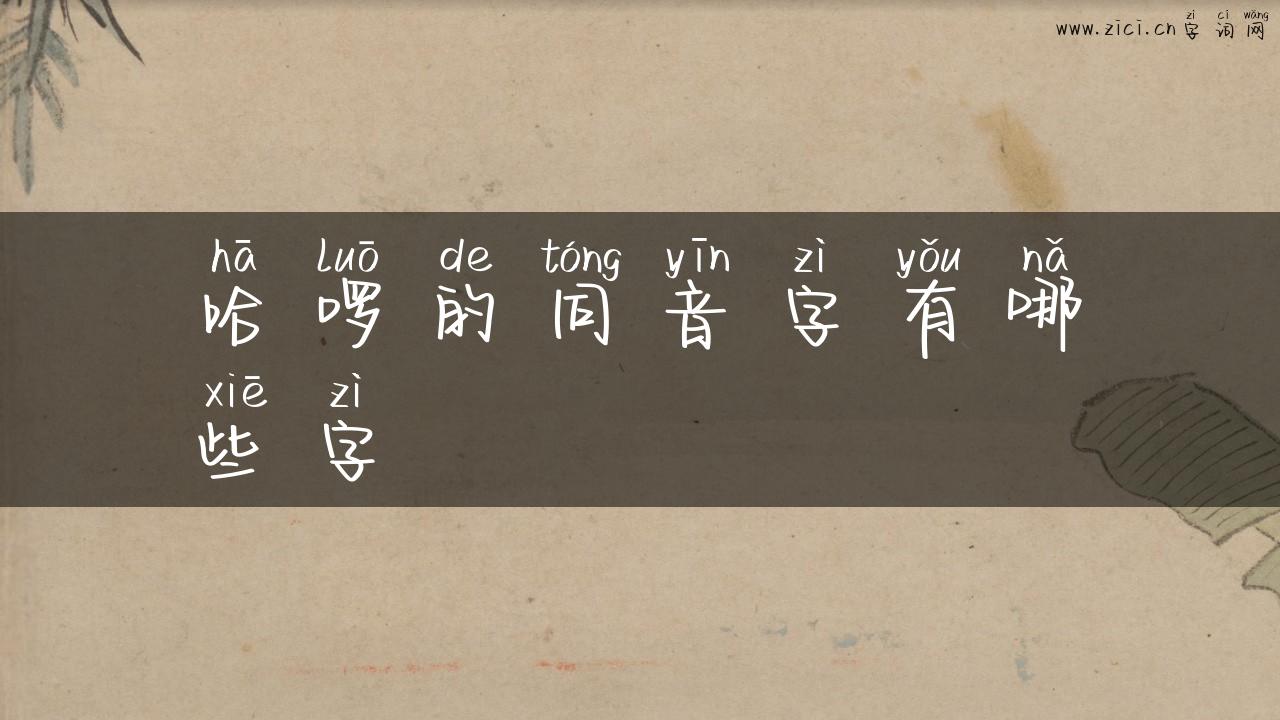 哈啰的同音字有哪些字