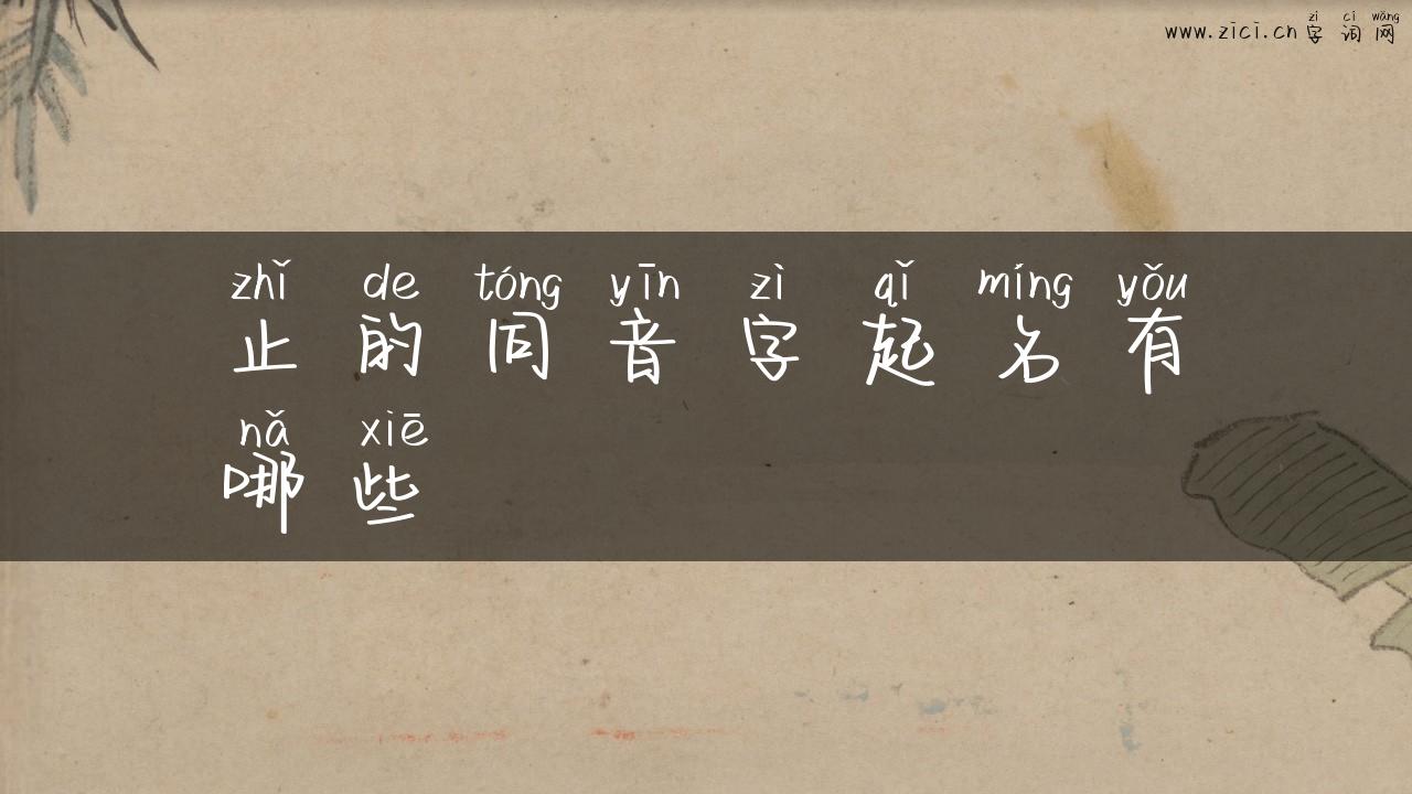 止的同音字起名有哪些