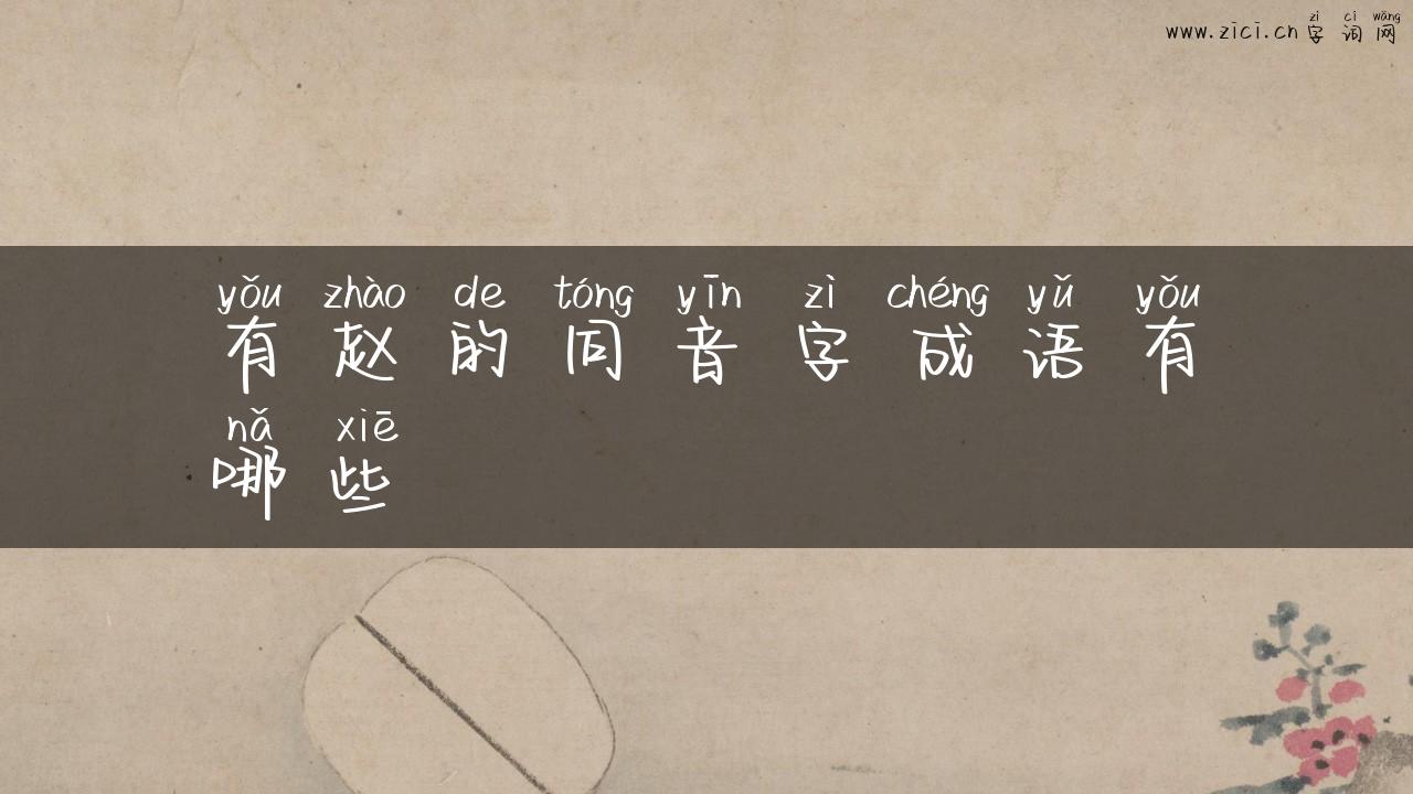 有赵的同音字成语有哪些