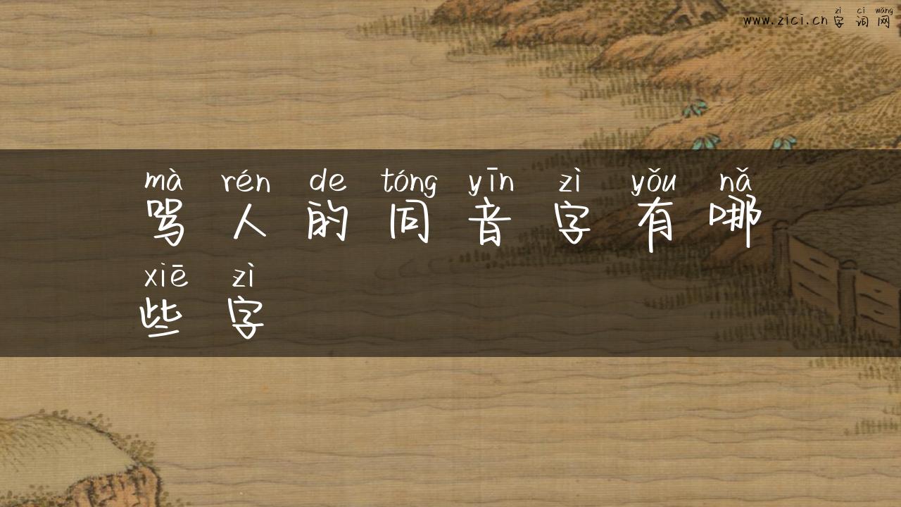 骂人的同音字有哪些字