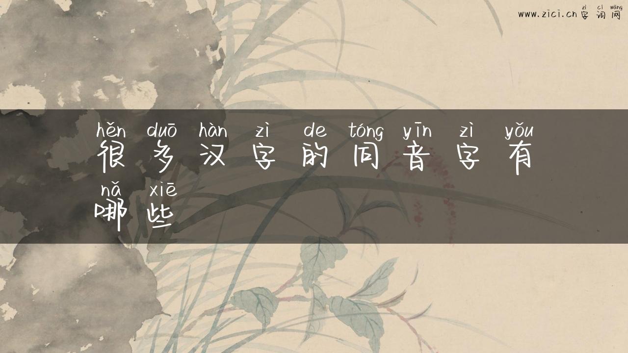 很多汉字的同音字有哪些