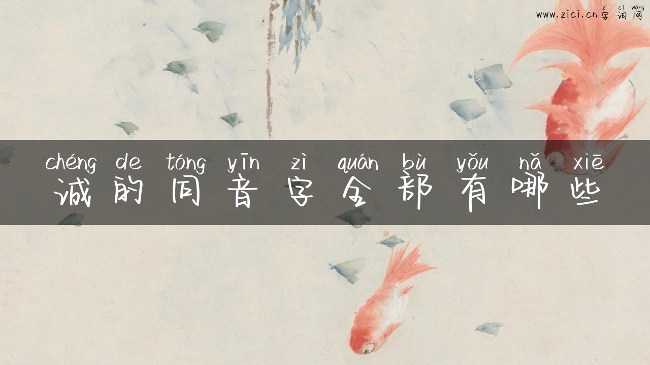 诚的同音字全部有哪些